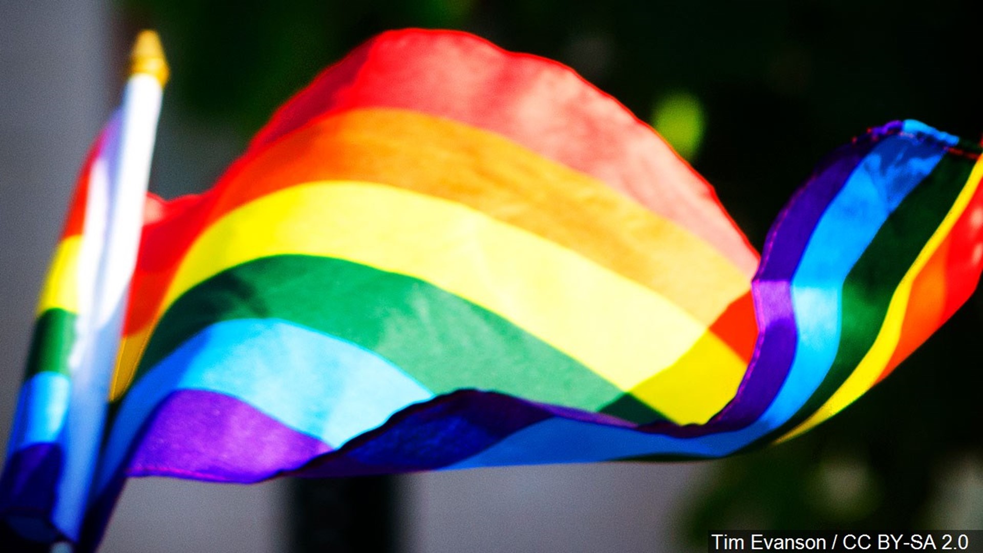 who created the gay rainbow flag