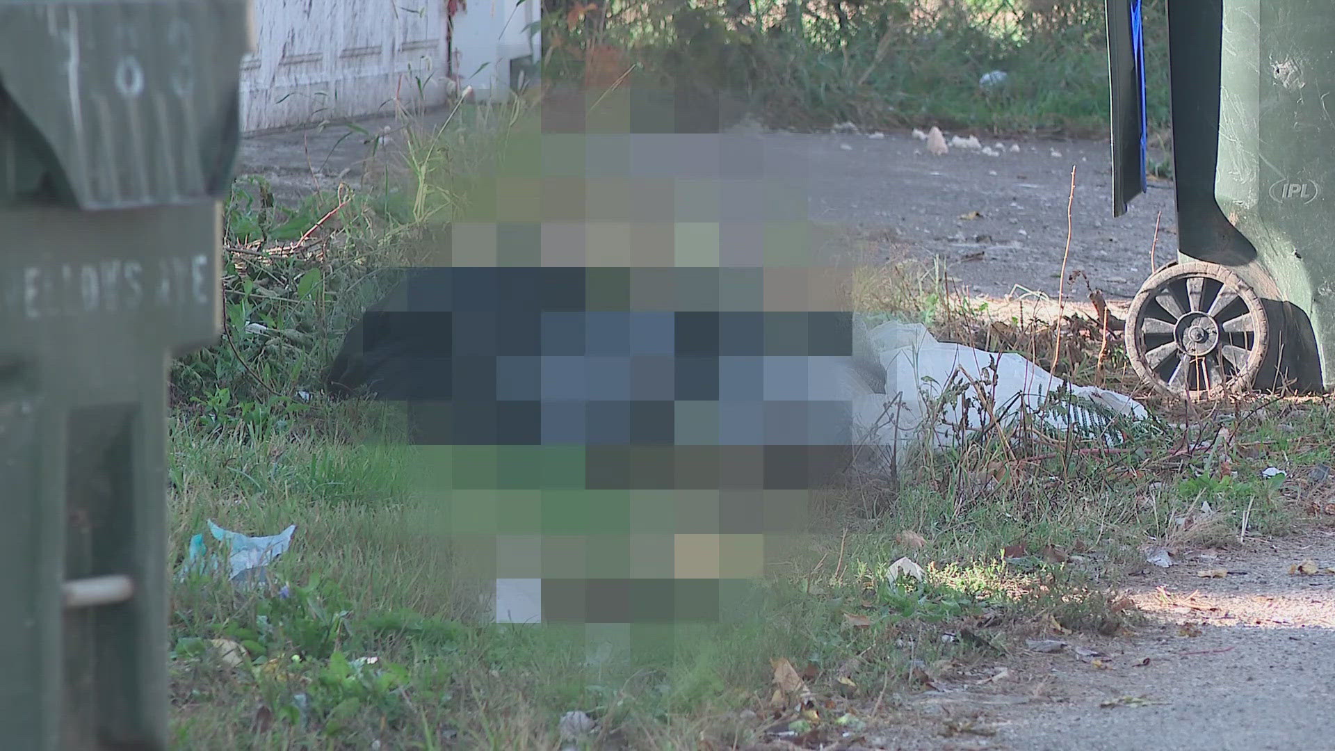 Someone had dumped a large bag containing a dead dog by the couple's trash cans overnight.