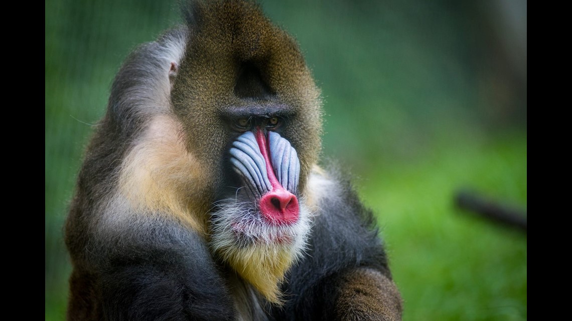 59a45a85-36b7-4e98-833b-