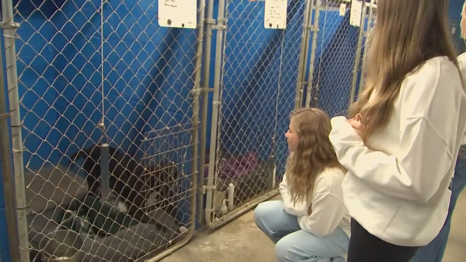 Three local teenagers are calling on central Ohio to help support the place that provided them their four-legged pals.