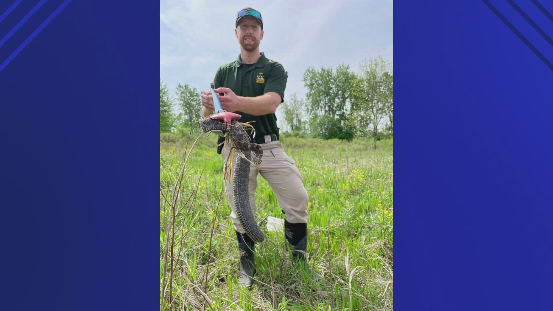 The Ohio Department of Natural Resources said one of its officers in Huron County found the rattler in May.