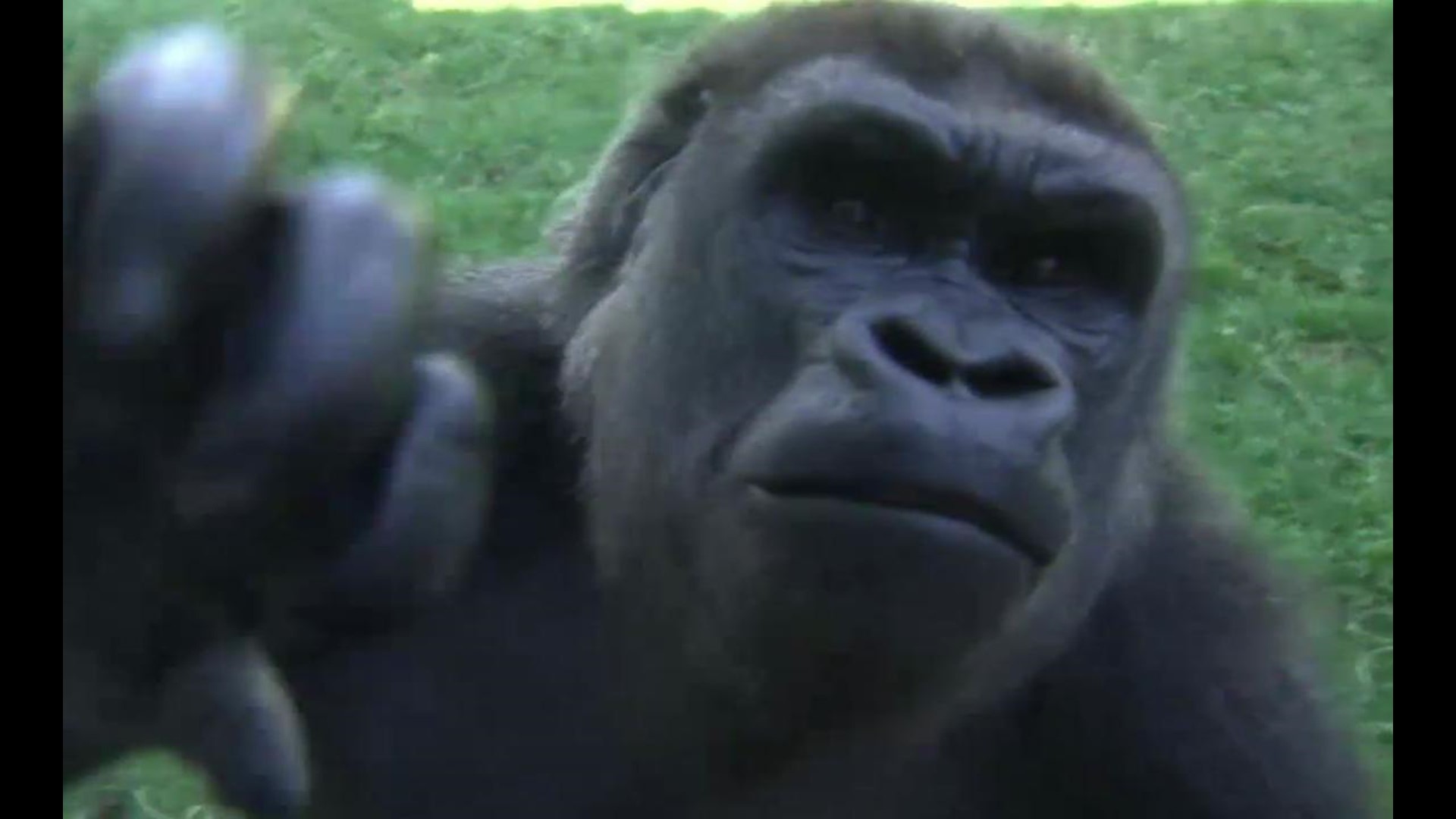 Jack Hanna Celebrates 35 Years With The Columbus Zoo & Aquarium