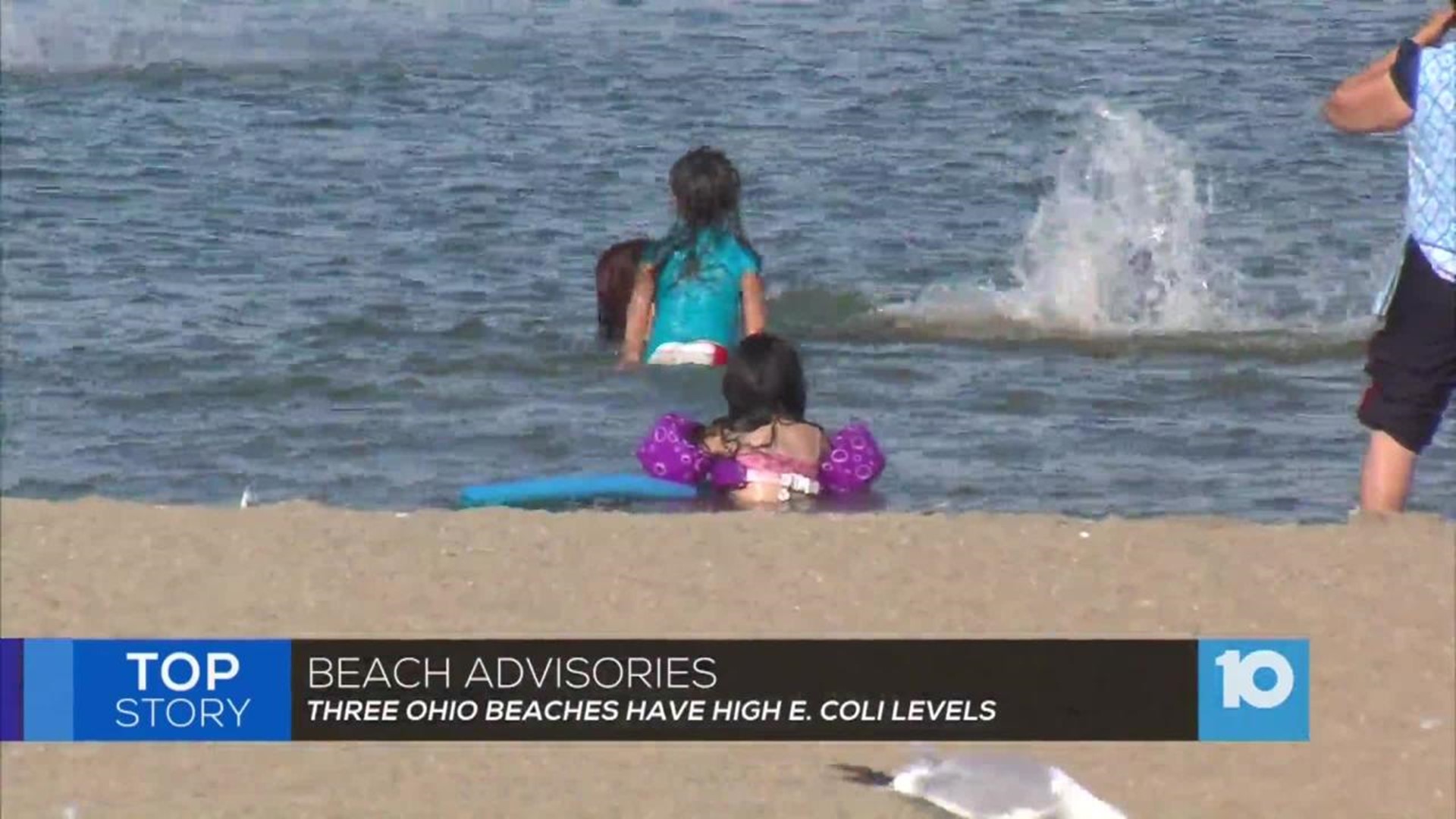 E Coli at Ohio Beaches