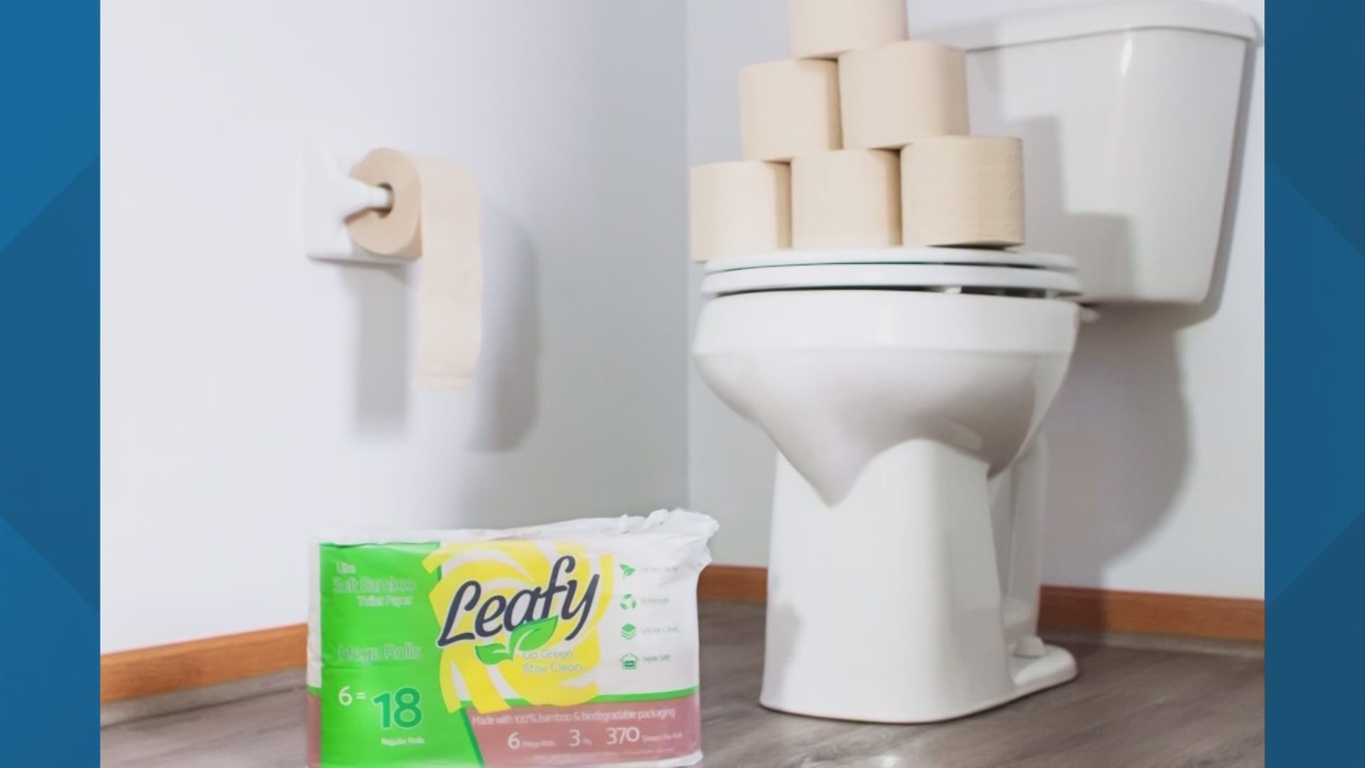 A group of friends create an eco-friendly toilet paper company.