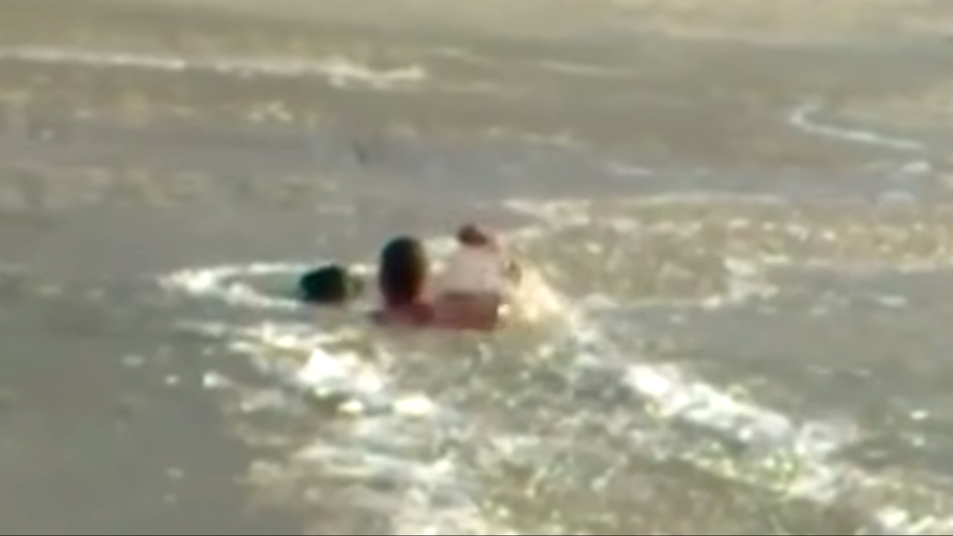 VIRAL VIDEO: Man Plunges Into Frozen Pond To Save Dog | 10tv.com