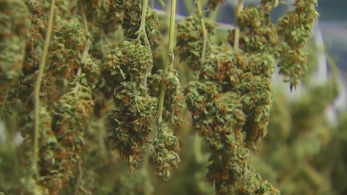 Grove City Council votes against ordinance to regulate recreational marijuana - Vimarsana News