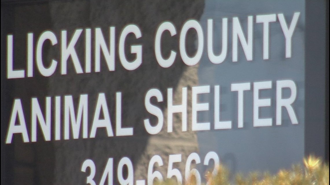 Licking County Animal Shelter Admits To Euthanizing Animals With