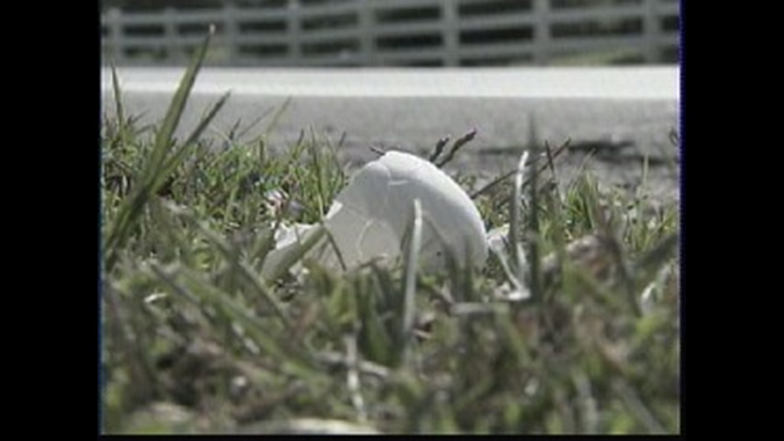 Teen Fatally Shot After Throwing Eggs At Cars; No Arrests Made