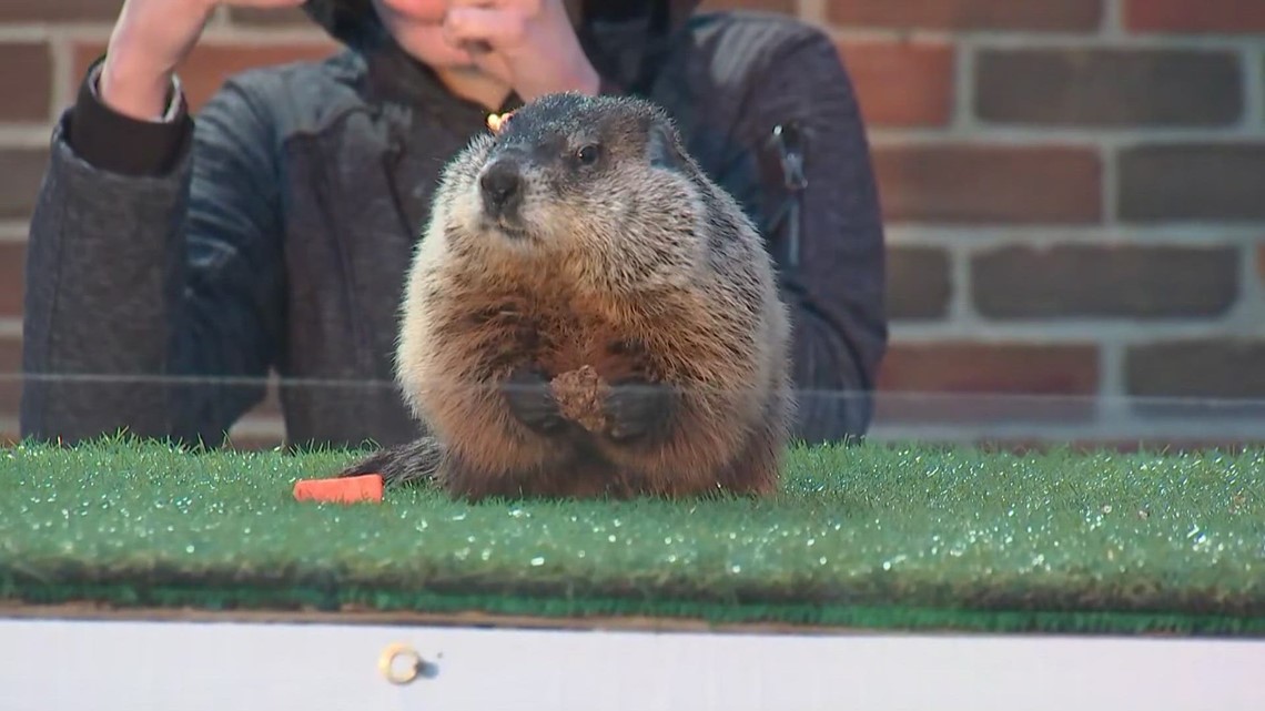 Groundhog Day in Ohio