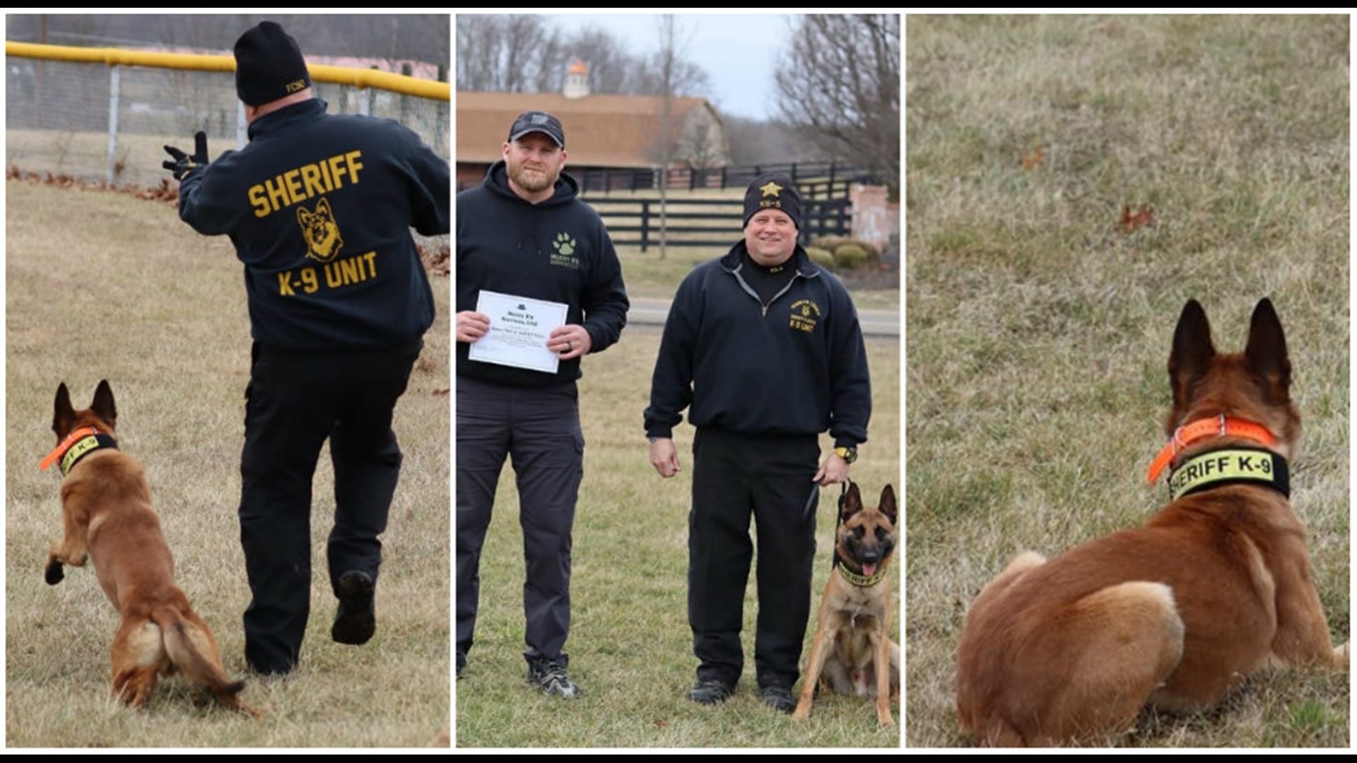 Meet Nitro: Franklin County Sheriff's Office Welcomes New K9 | 10tvcom