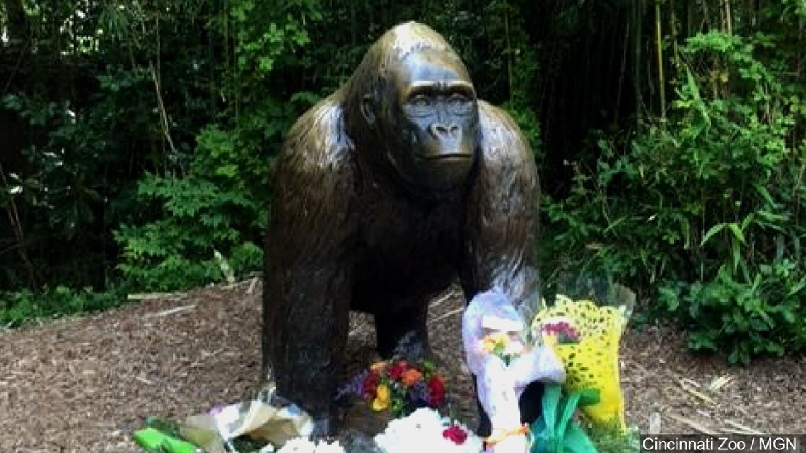 Harambe lives: Killed zoo gorilla gets a second life online