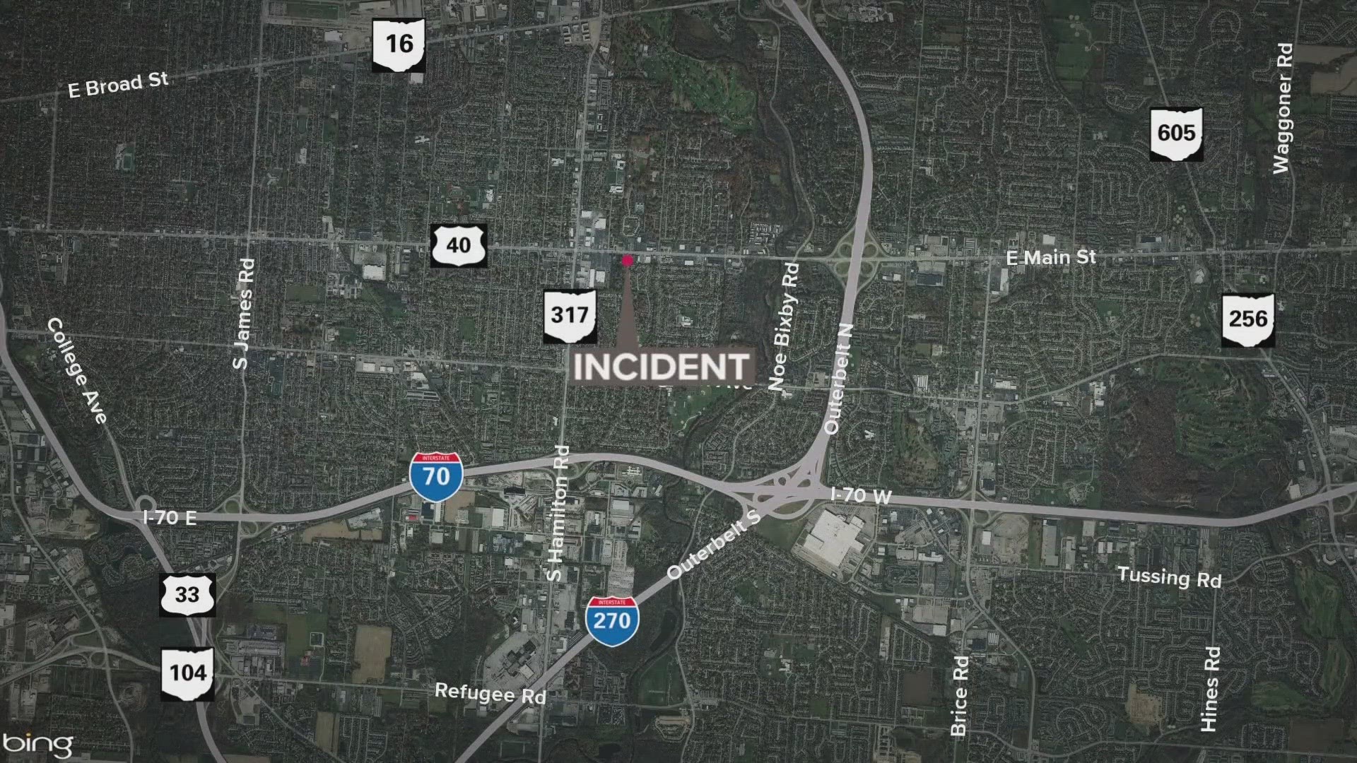 A woman was killed in a crash on Shady Lane Road early Sunday morning after the vehicle she was driving hit a tree and caught fire.