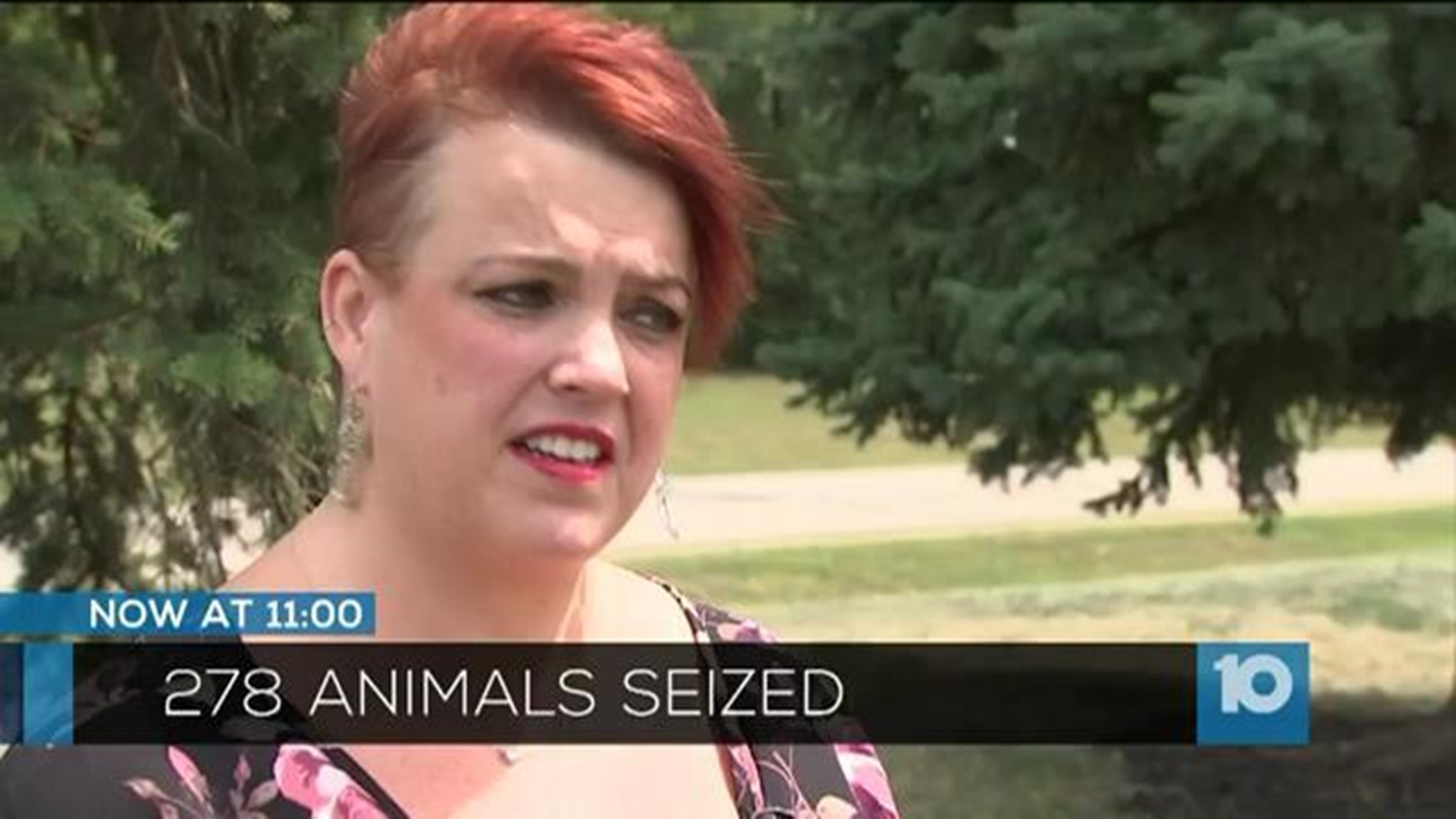 The video does not lie': Whistleblower speaks out after animals seized from pet shop, home The video does not lie': Whistleblower speaks out after animals seized from pet shop, home