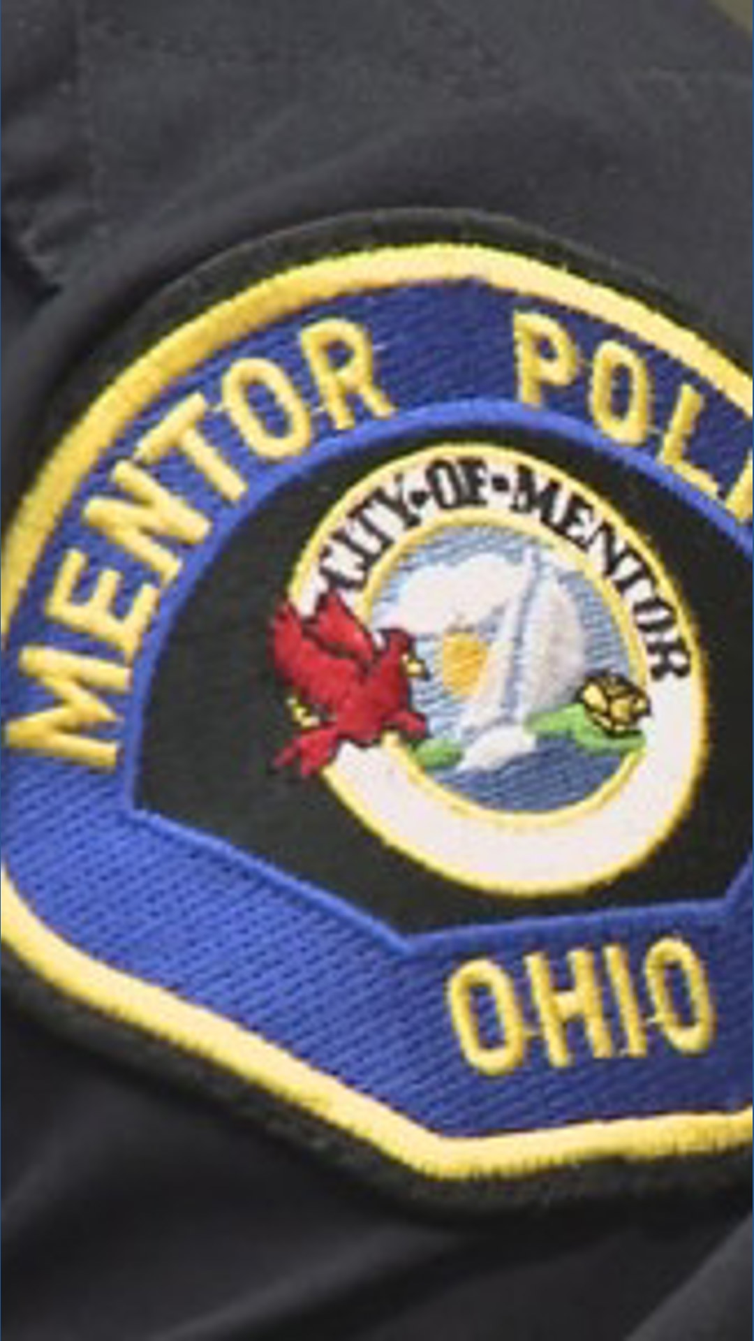 Mentor mother arrested after 2 kids found outside hotel in bitter cold ...