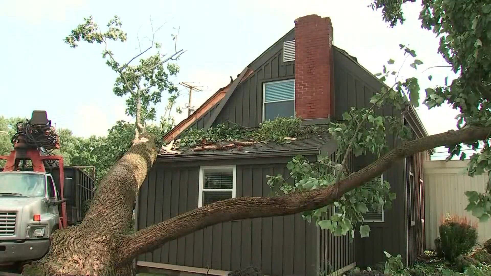 Tree Health Plan Example Insurance agent forced to follow her own disaster plan after tree ...