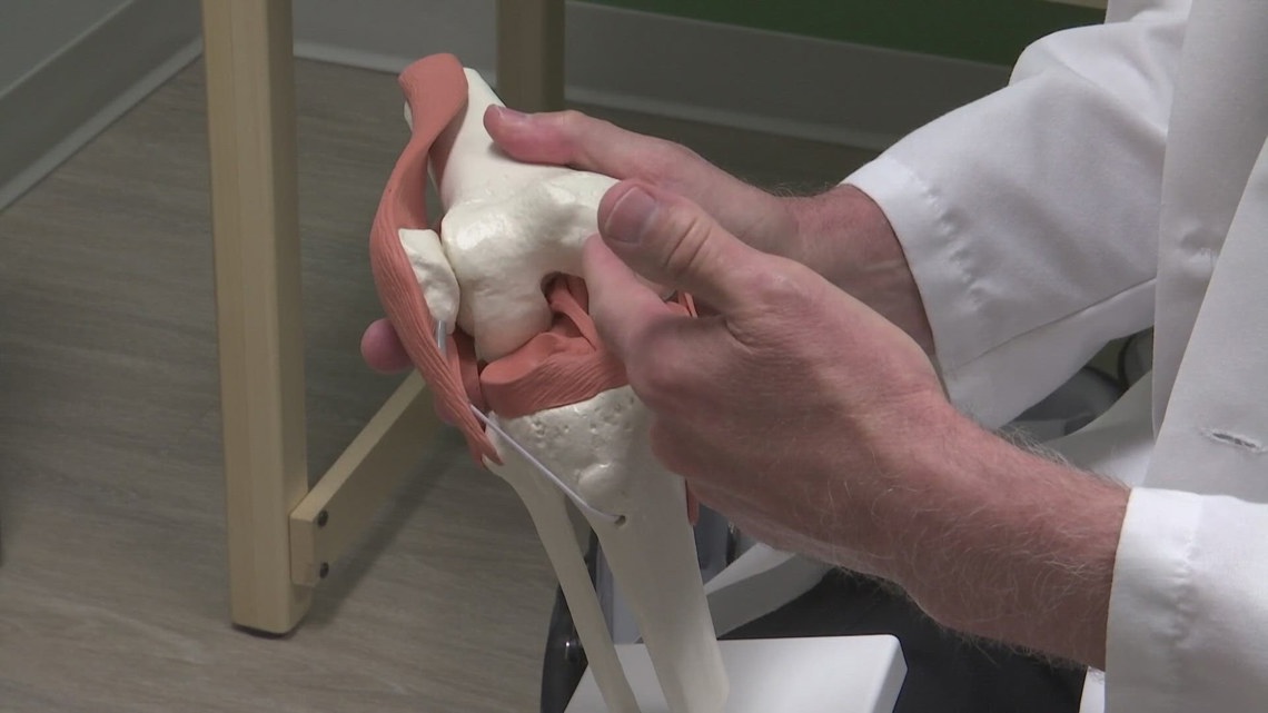 CartiHeal Agili-C, an FDA-approved implant made from coral, is designed to treat cartilage damage.