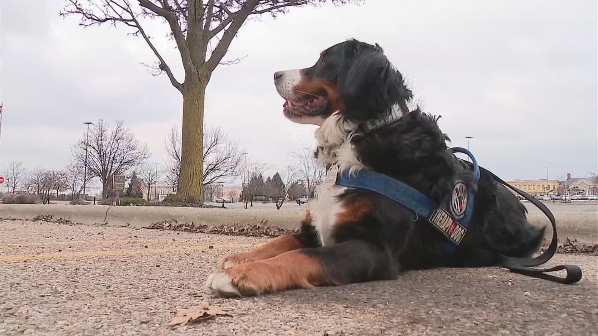 While petting a dog won’t reverse or people forget what happened at Polaris, police said it can make all the difference in healing from them.