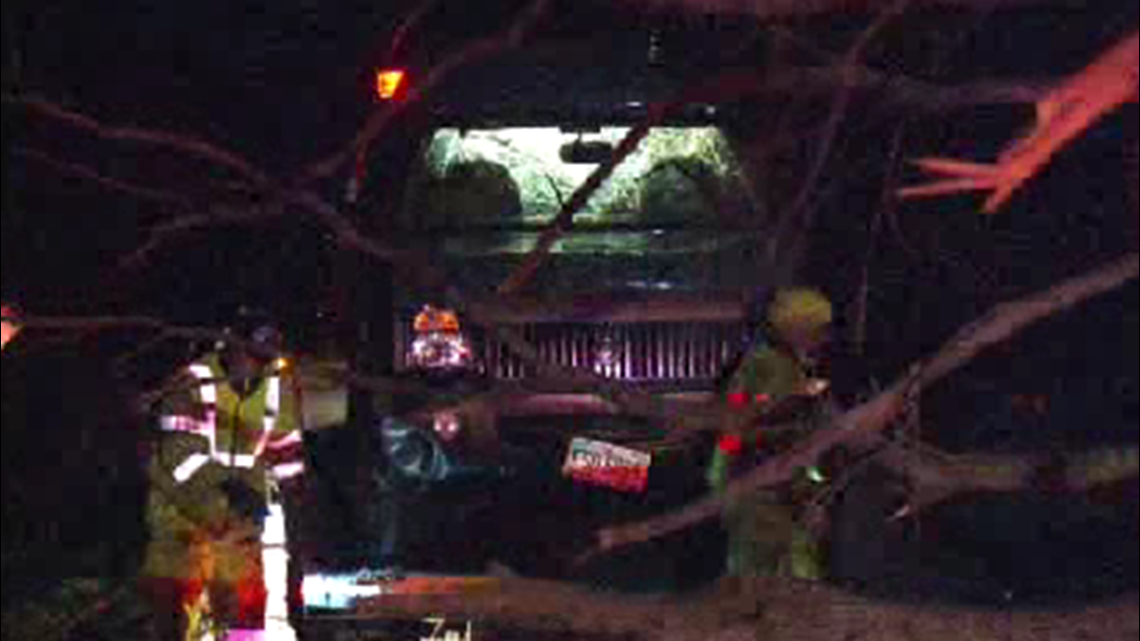 Tree Falls On SUV With Two People Inside