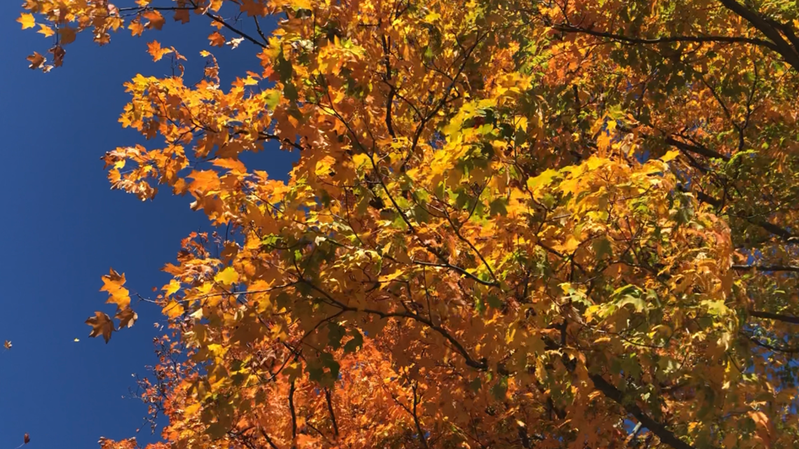 When Will The Leaves Change Color In Central Ohio This Year? | 10tv.com