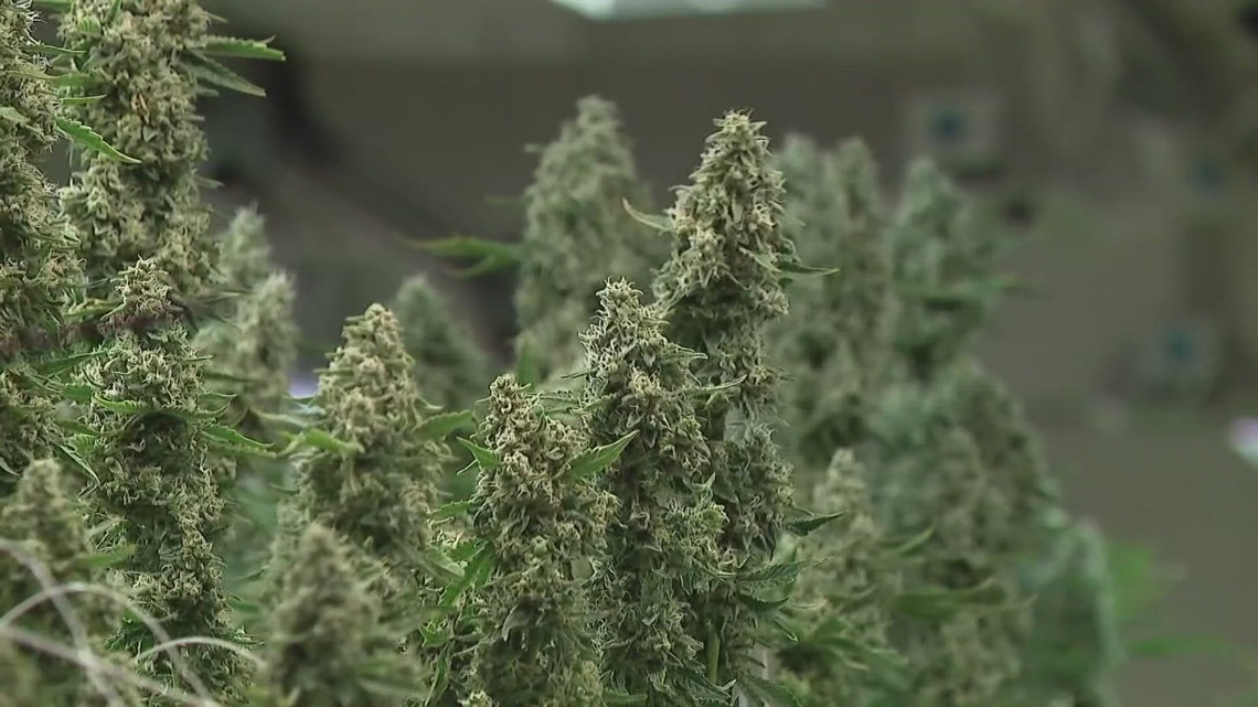 Ohio marks $702.5 million in marijuana sales in first year