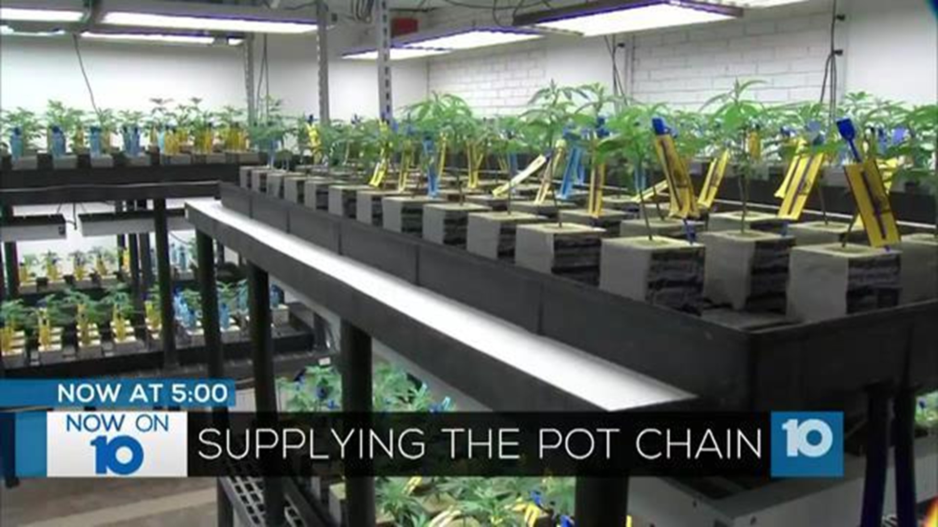 Ohio Announces Sites For Medical Marijuana Dispensaries; 5 Approved In ...