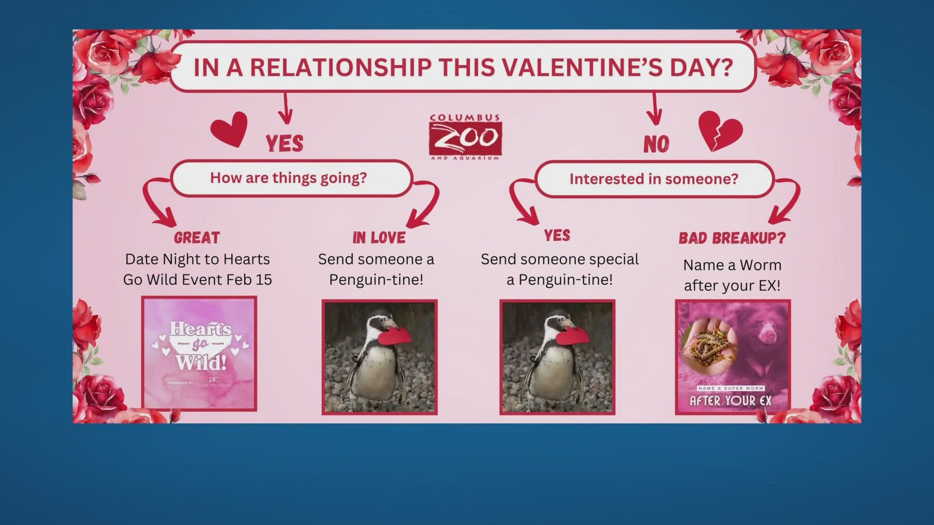 Celebrate Valentine’s Day with worms, virtual cards from Ohio zoos