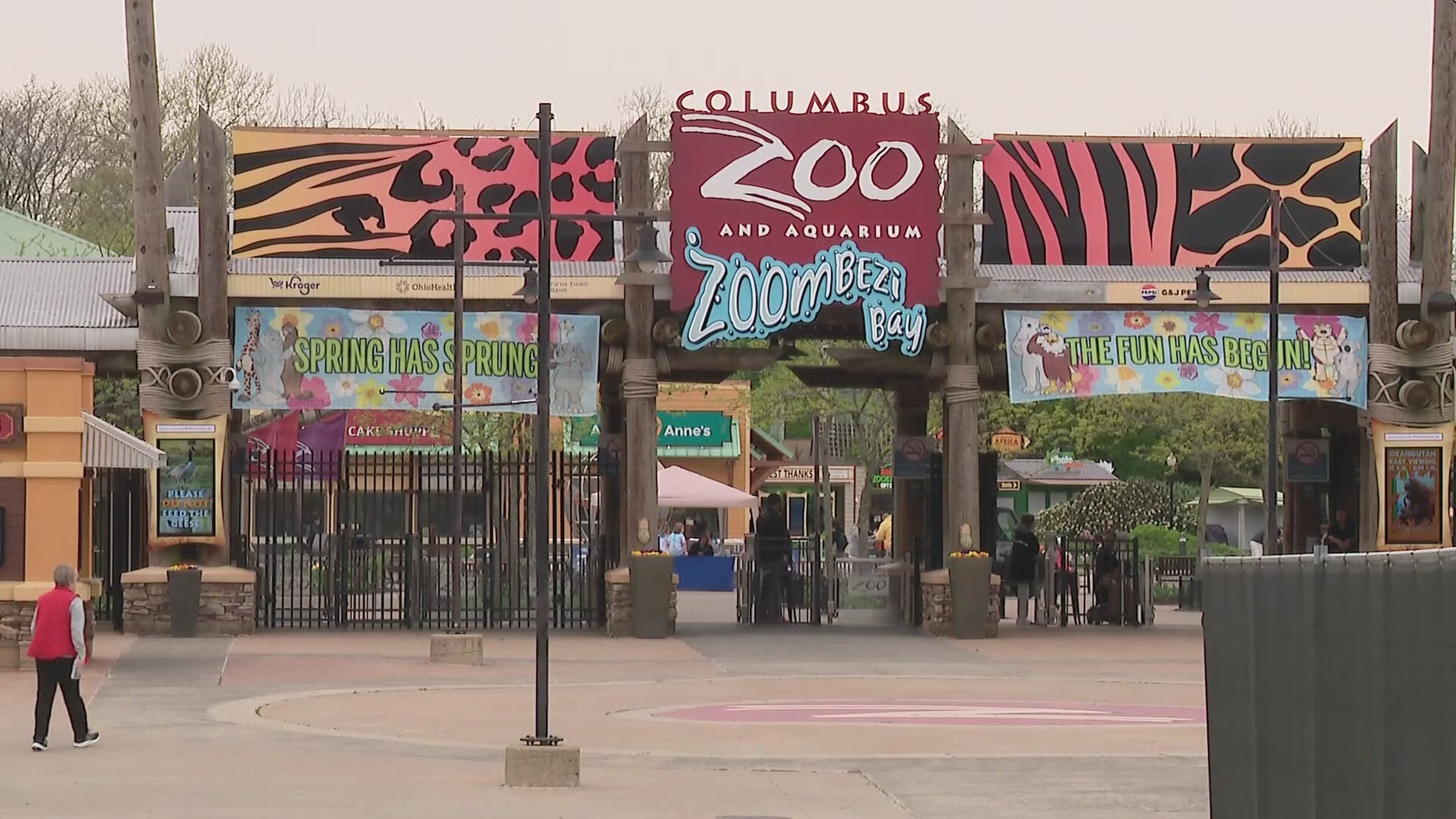 fter the zoo closed at 5 p.m., the stolen car was confirmed when a family was unable to find their car in the parking lot.