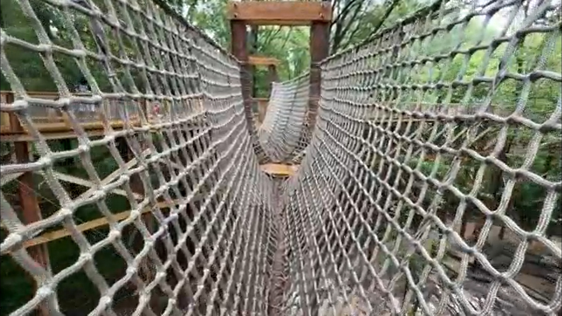 Blacklick Woods Metro Park unveiled its newest canopy walk on Friday.
