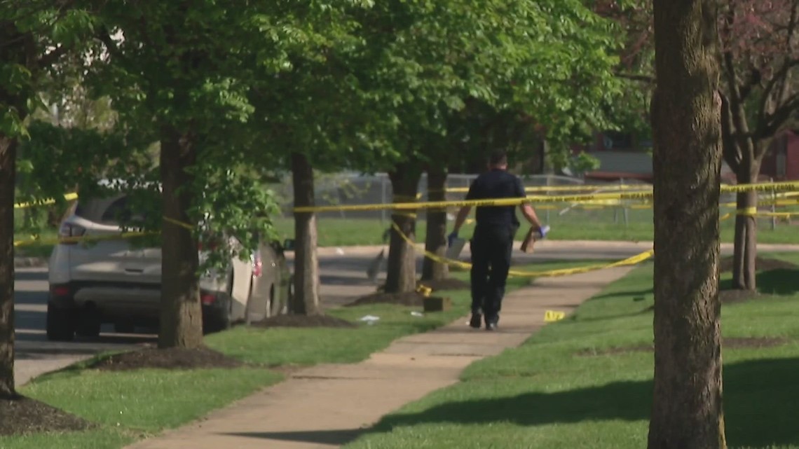 South Linden weekend shooting deemed domestic violence - Vimarsana News