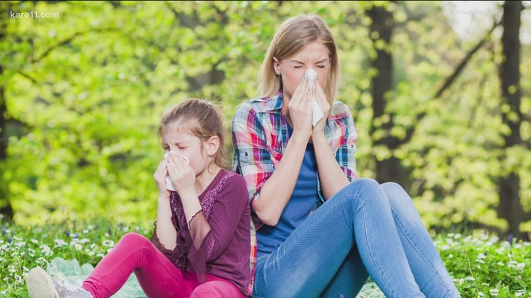 Fast facts to alleviate fall allergies