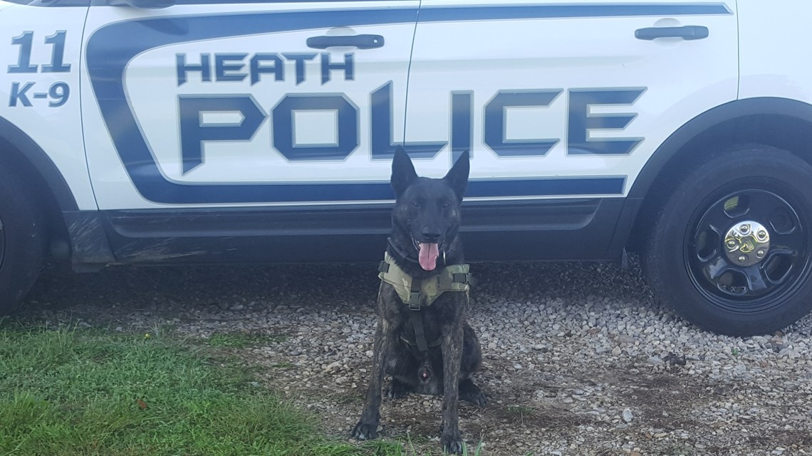 Heath police K-9 Havik passes away - Vimarsana News