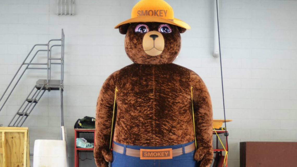 smokey the bear teddy bear