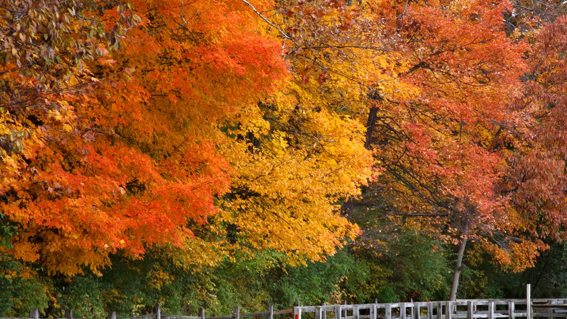 Where to find peak fall foliage in Ohio