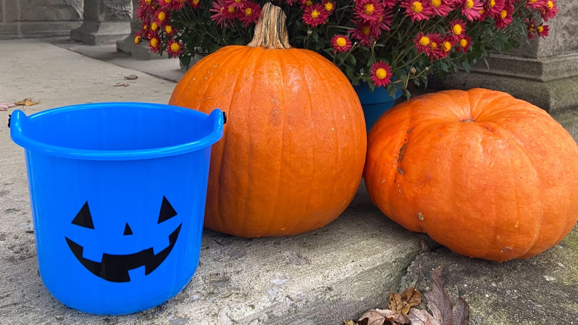 Trickortreating What to do if you see a blue pumpkin