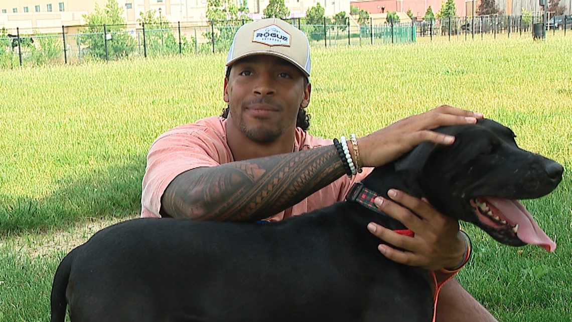 Franklin County Dog Shelter holds event with Steele Chambers - Vimarsana News