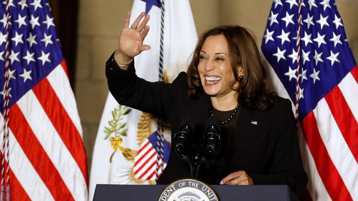 Ohio's DNC delegation pledge their votes to Kamala Harris | 10tv.com