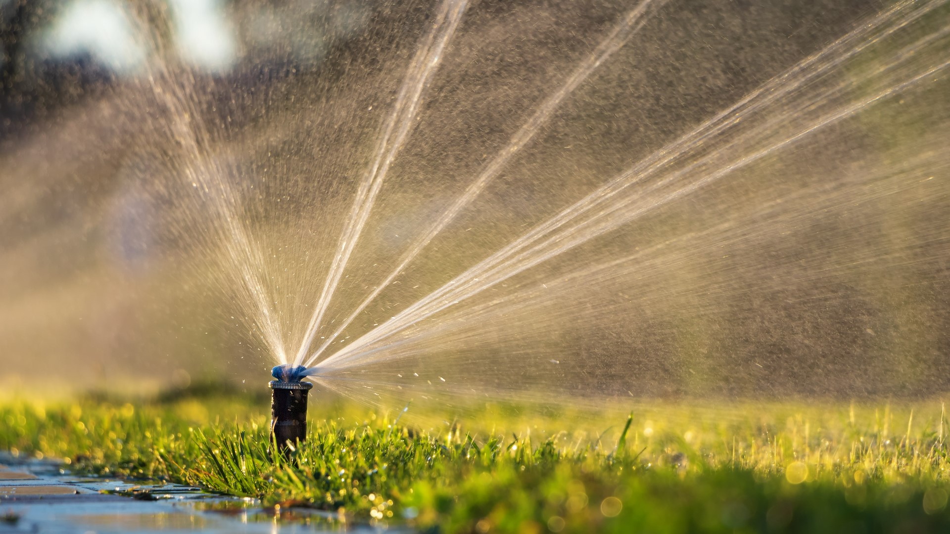 Due to unseasonably warm temperatures and lack of rainfall, the city says it’s experiencing record demands for water.