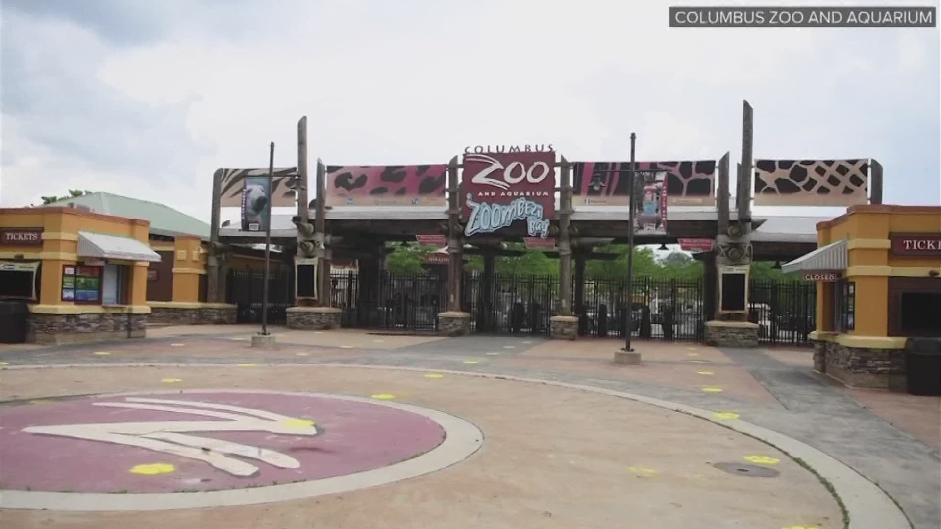 The Columbus Zoo welcomed members back on June 12.