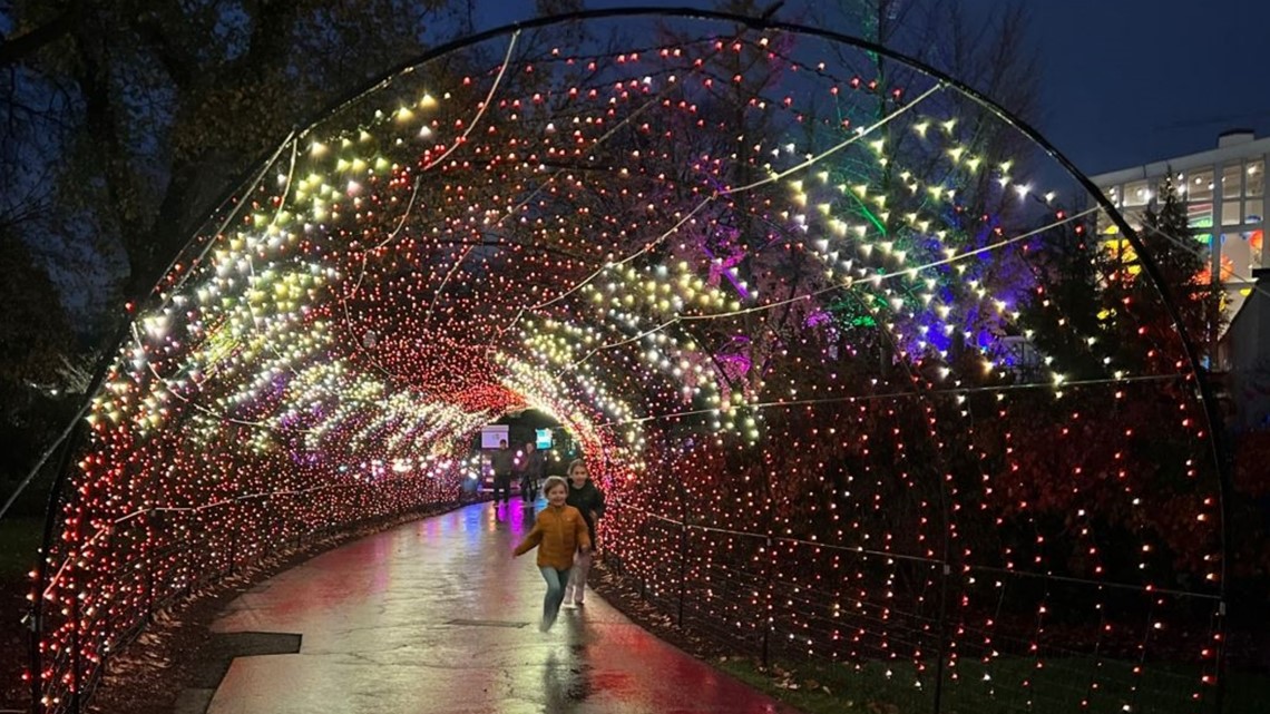 Holiday Lights at Lost Creek Reserve