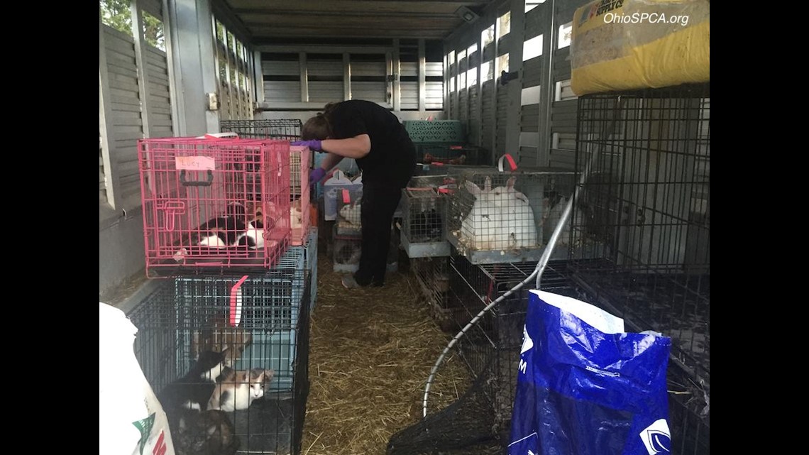 Nearly 200 animals rescued from northwest Ohio home 