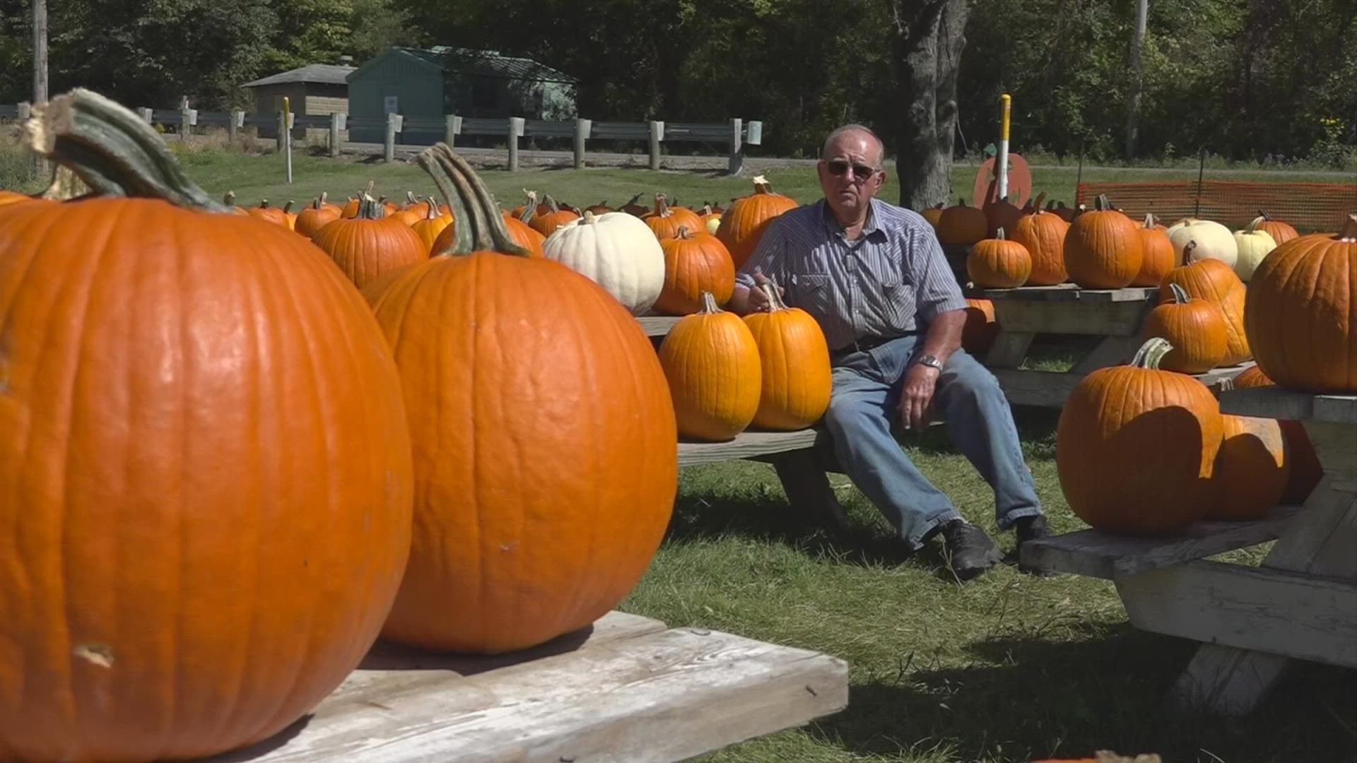 Have you ever noticed how people are so particular when it comes to picking pumpkins? The same could be said for picking friends.