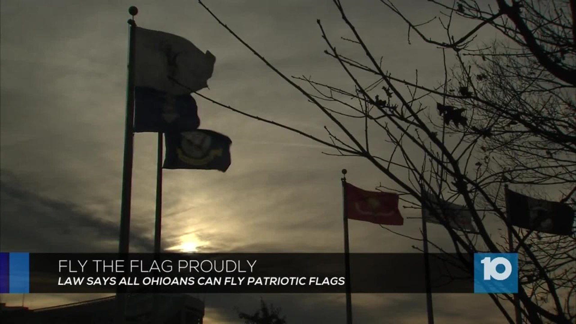 Whitehall woman's protest behind new state flag law