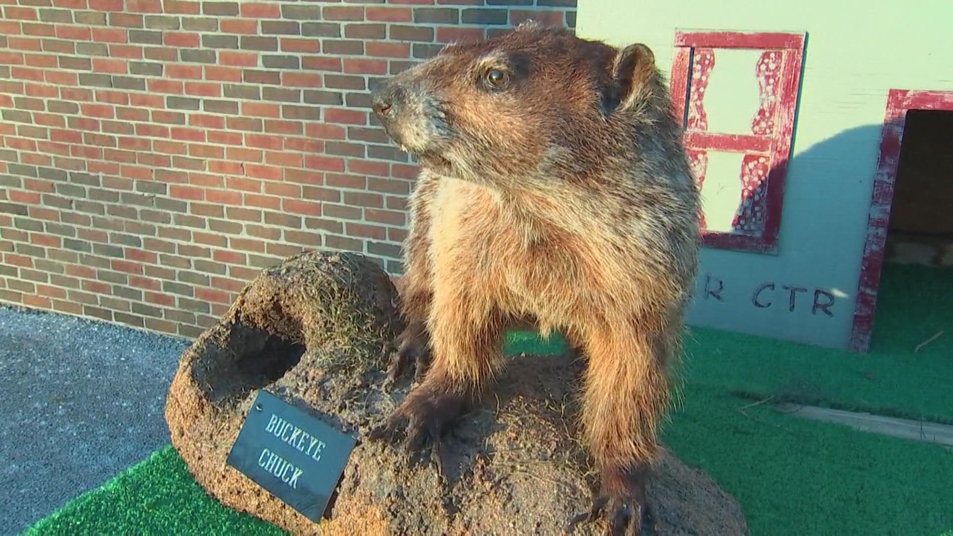 Buckeye Chuck's prediction is the same as his friend in Pennsylvania, Punxsutawney Phil, who predicted a long winter.