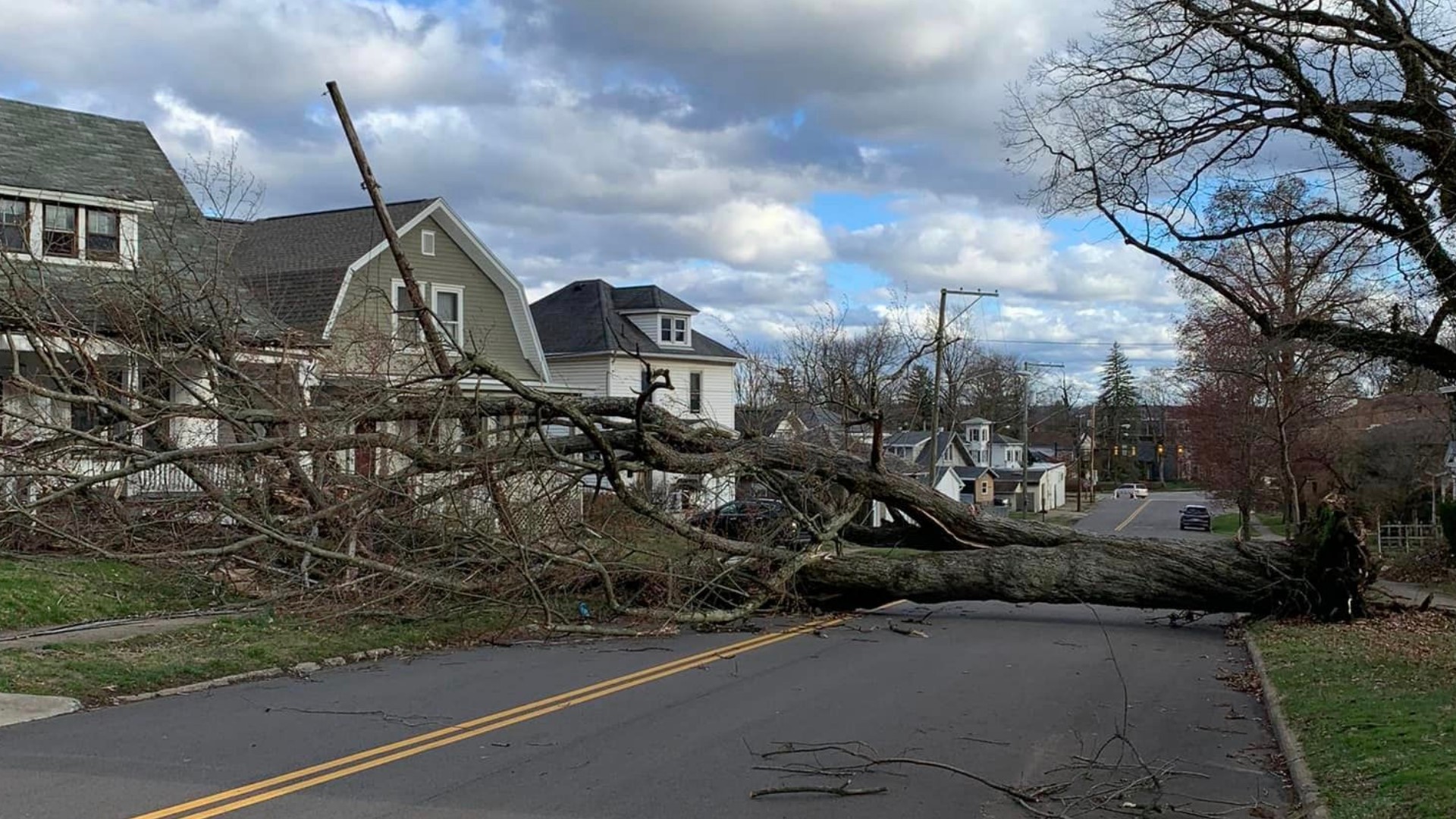 Wind gusts of up to 60 mph and saturated ground brought down numerous trees, poles and power lines throughout the state.