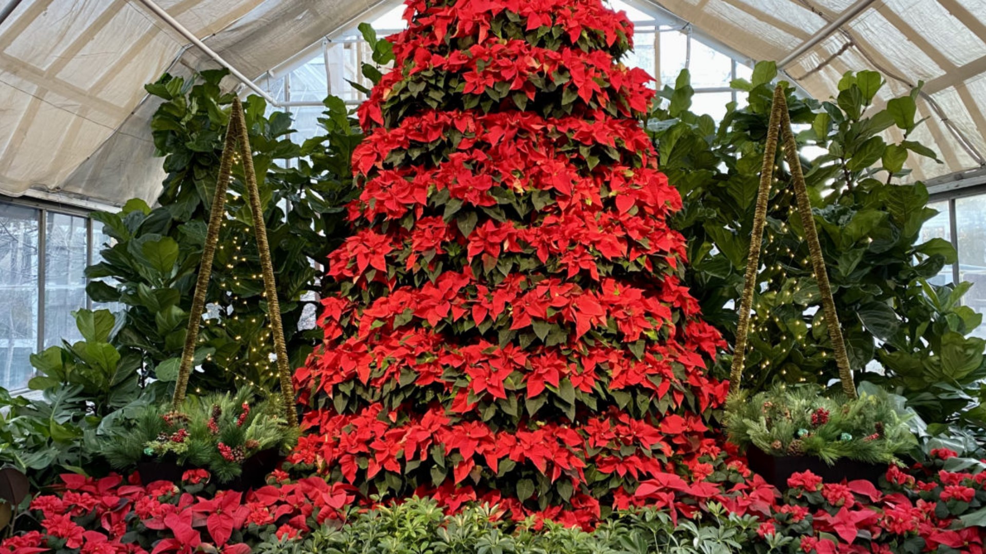 Franklin Park Conservatory holiday exhibitions coming back