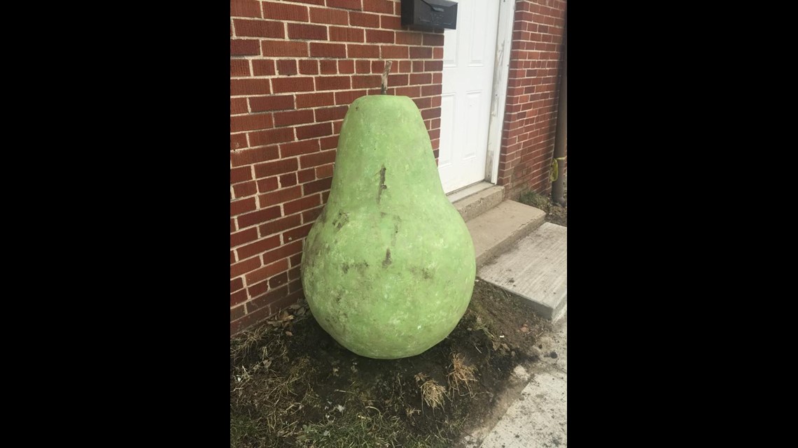 300-Pound Pear Goes Missing, Briefly, In Columbus | 10tv.com