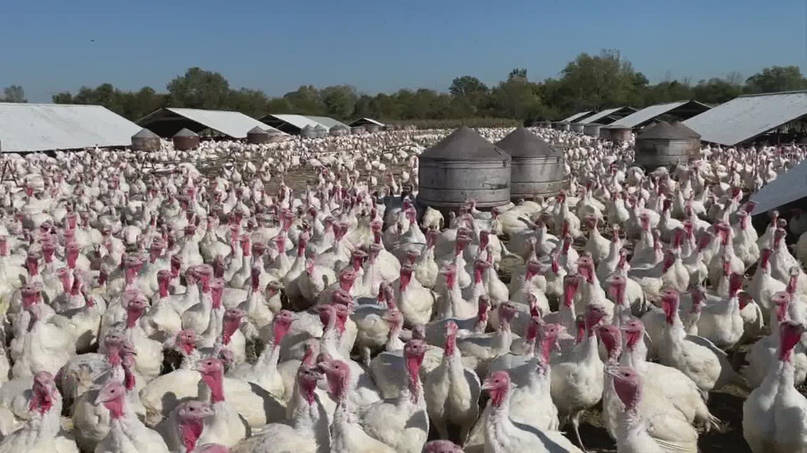 Why Thanksgiving will be more expensive this year