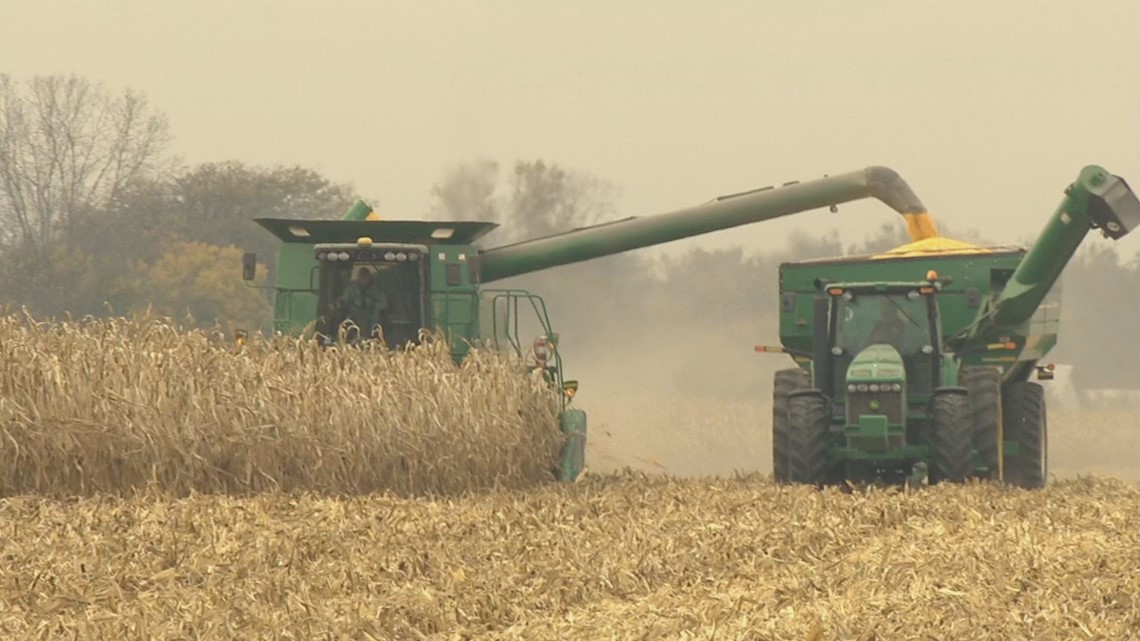 US farmers help feed world after invasion impacts food sources - Vimarsana News