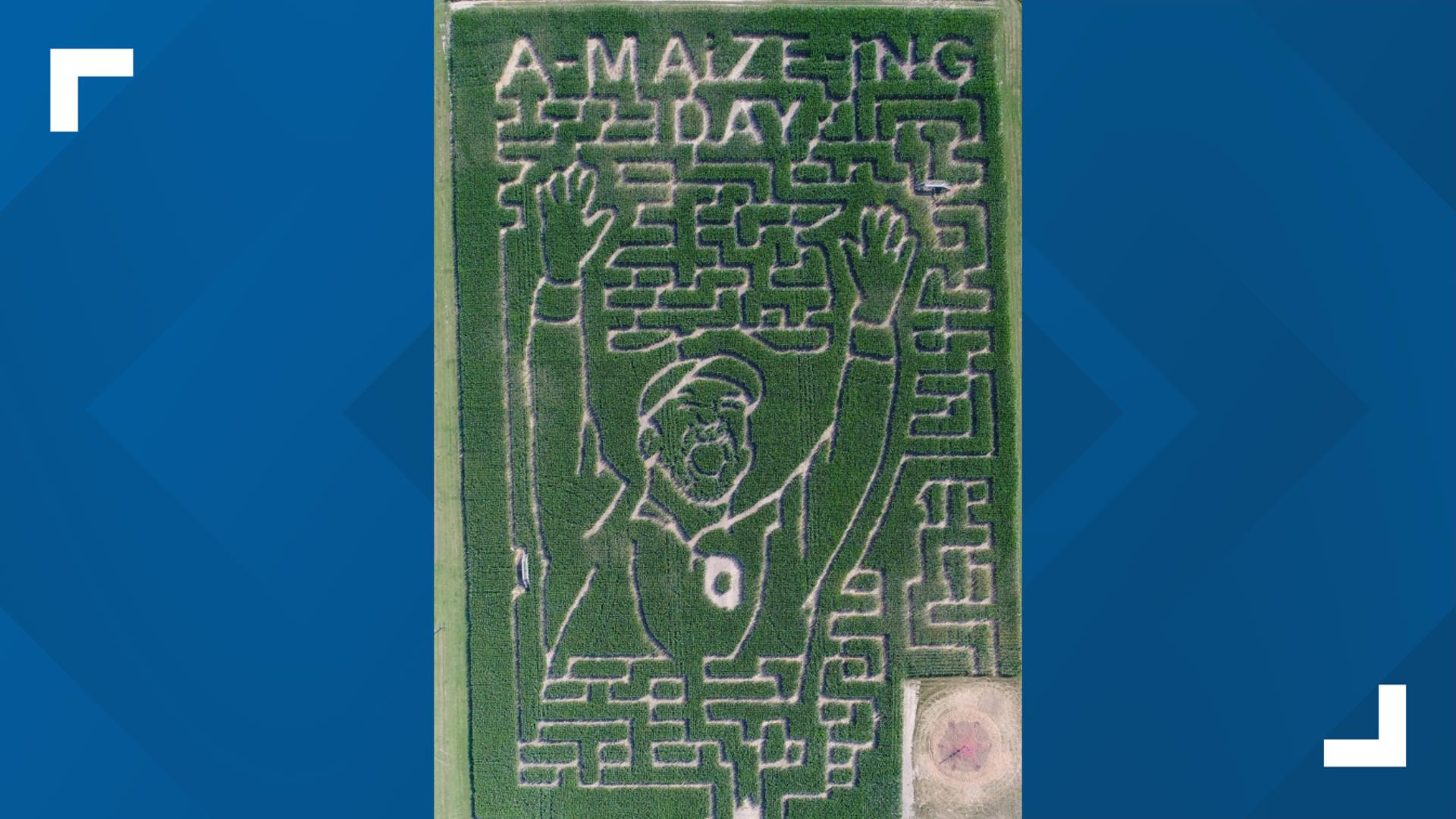 A farm in Union County honors Ohio State coach Ryan Day with an eight-acre corn maze design.