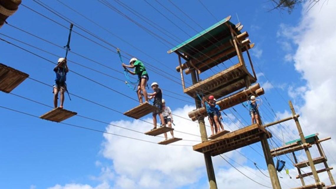 Summer Camp Free Near Me A Life-Changing Adventure